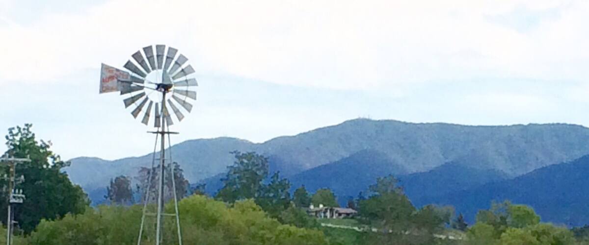A windmill in a vineyard with mountains in the background.