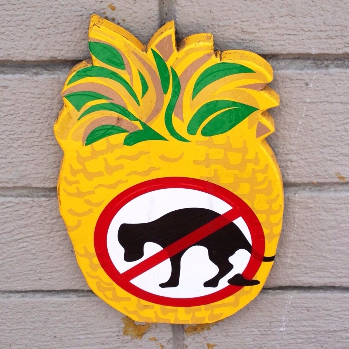 Morro Bay has rules mister!