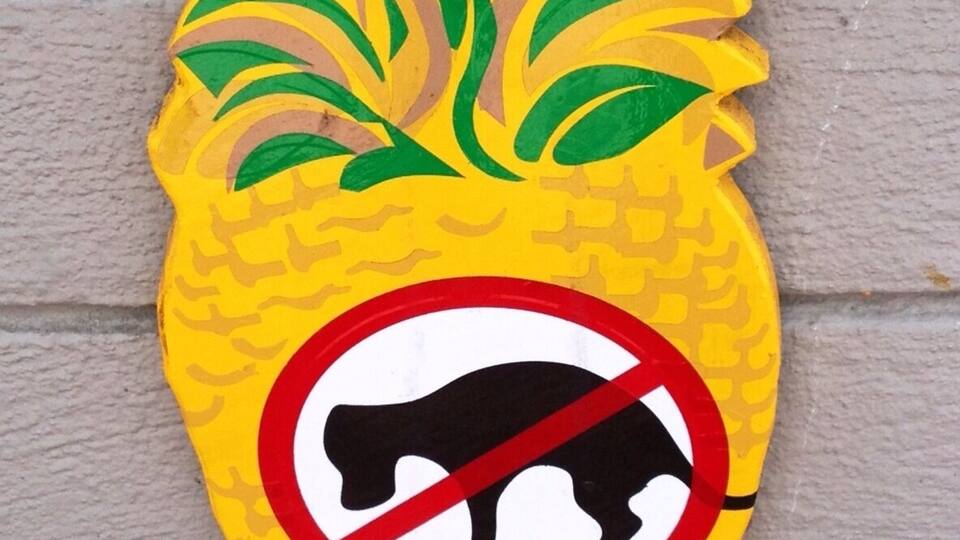 Morro Bay has rules mister!