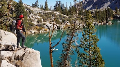 Um caminhante em um afloramento rochoso com vista para um lago turquesa rodeado por árvores e montanhas.