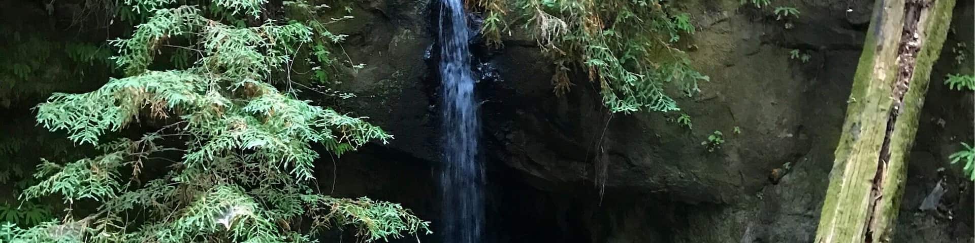 A waterfall in a forested area with clear water and surrounding greenery.