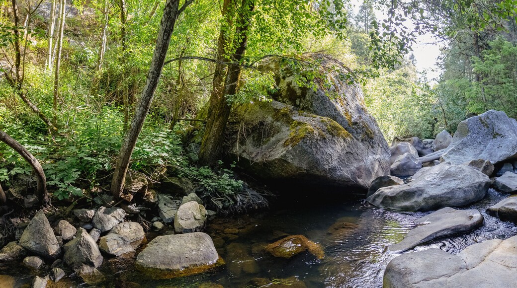 Boulder Creek