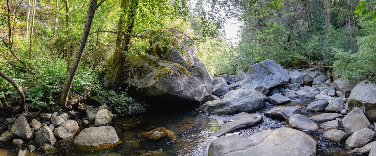 A rocky stream surrounded by dense forest.