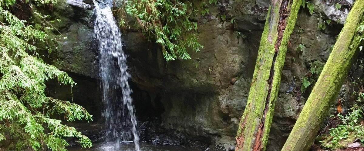 Big Basin Redwoods StatePark.
Hiking in the rain makes photos difficult but the upside is there’s no one else around! I hiked a 4 mile loop via Sequoia Trail to Skyline to Summit. Sempervirens Falls is at the half way point (one may drive there as well). This waterfall is about 20ft tall... maybe a little more. Hiking through the giant redwoods in the rain was amazing. :)
#HikingTheGlobe
#Waterfalls
#CAStateParks
#Green
#SpringFun