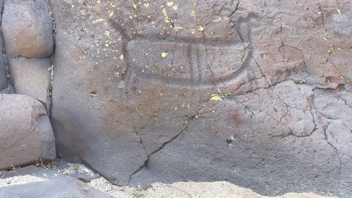 Little petroglyph Canyon.