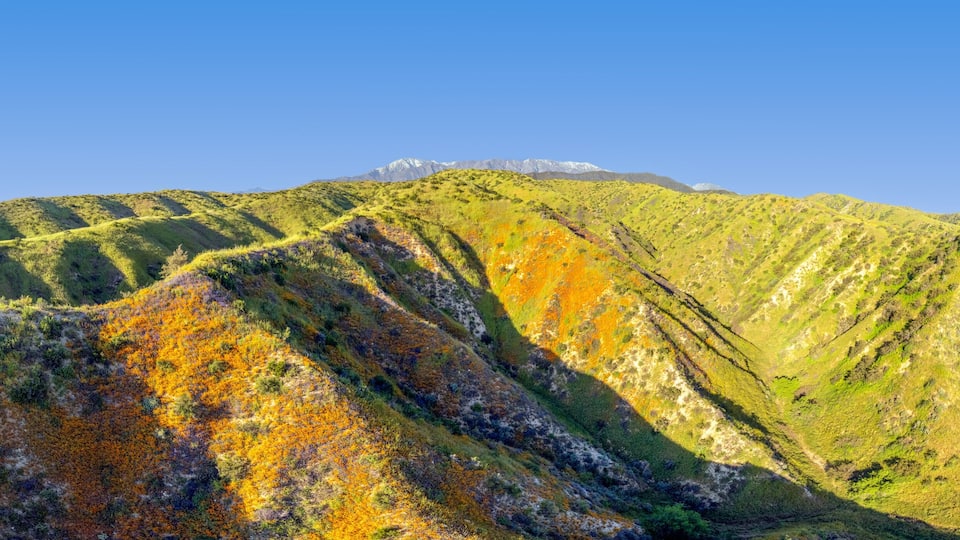 A mountain range with distinct ridges and a clear blue sky.