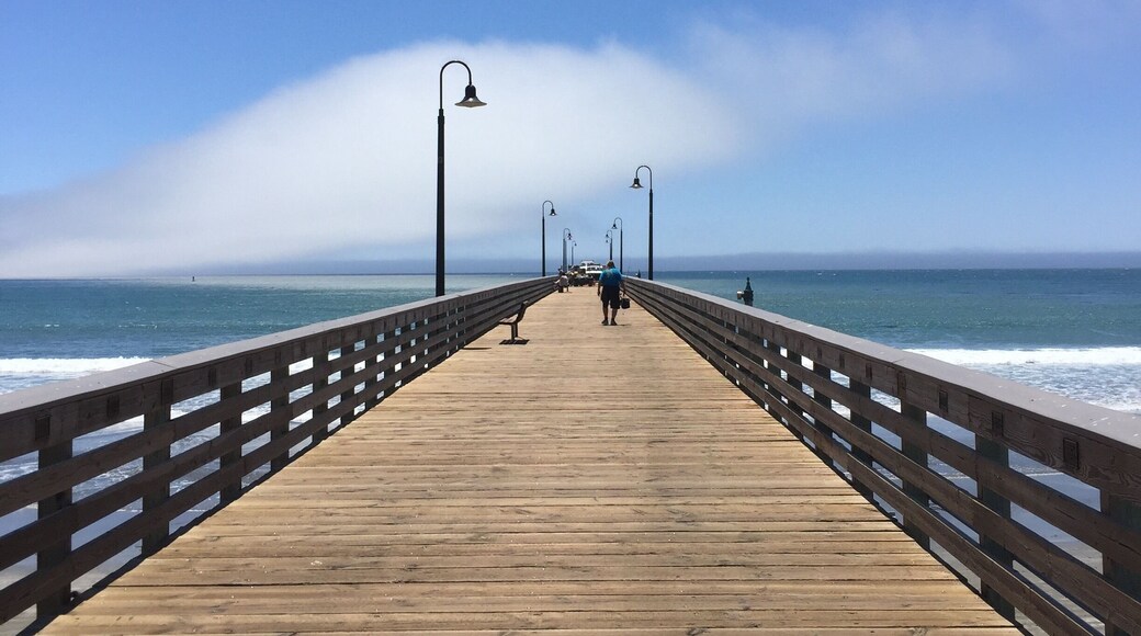 This little beach town comes alive on weekends and holidays, but is secluded and pristine come weekday afternoons on the pier. The annual Fourth of July parade brings thousands to the otherwise sleepy beach town of Cayucos, California.
#cayucos
#california
#beach
#beachbound
#lifeatexpedia
#weloveourmarkets
#AMER