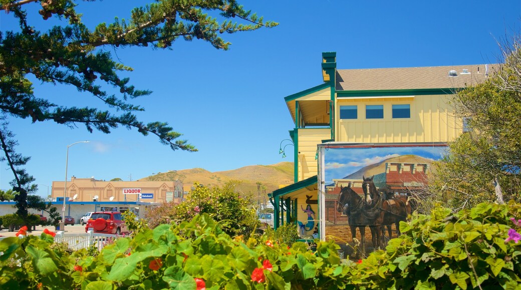 Cayucos featuring a small town or village