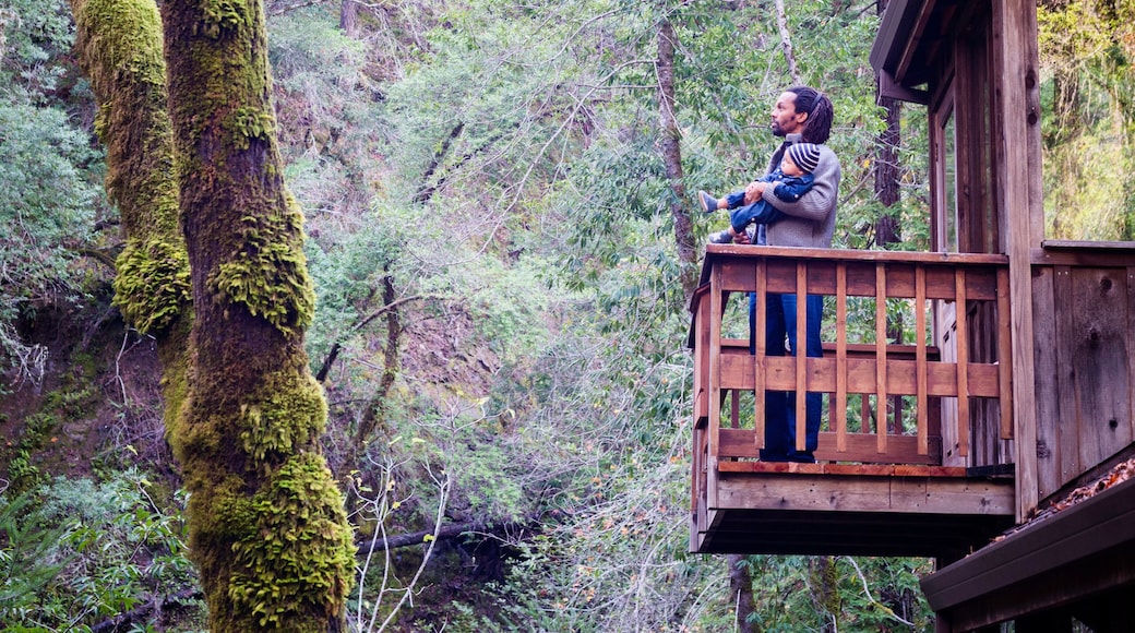 Father with baby son on balcony of stilted wooden house in forest, Cazadero, California, USA