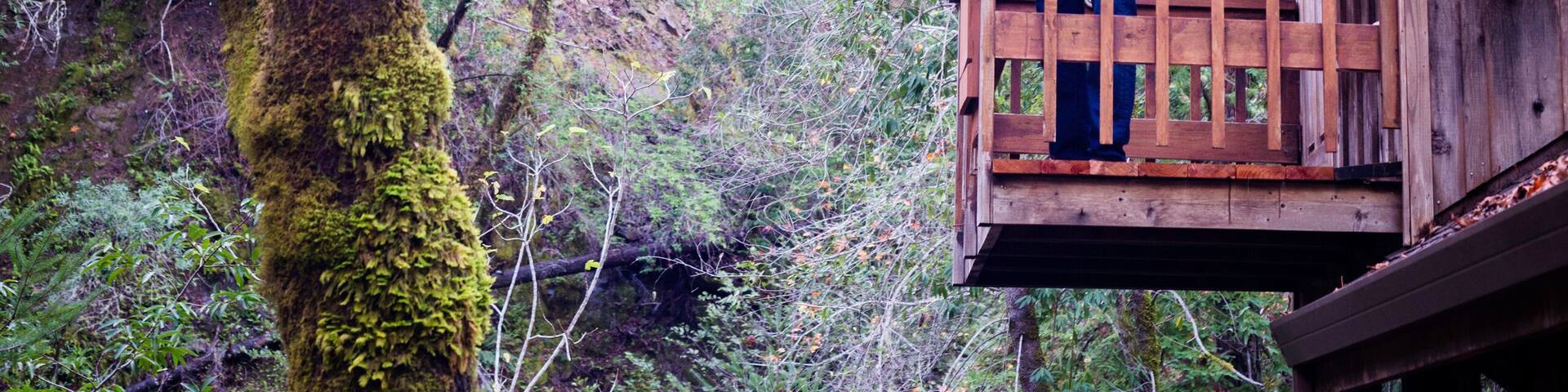 Father with baby son on balcony of stilted wooden house in forest, Cazadero, California, USA