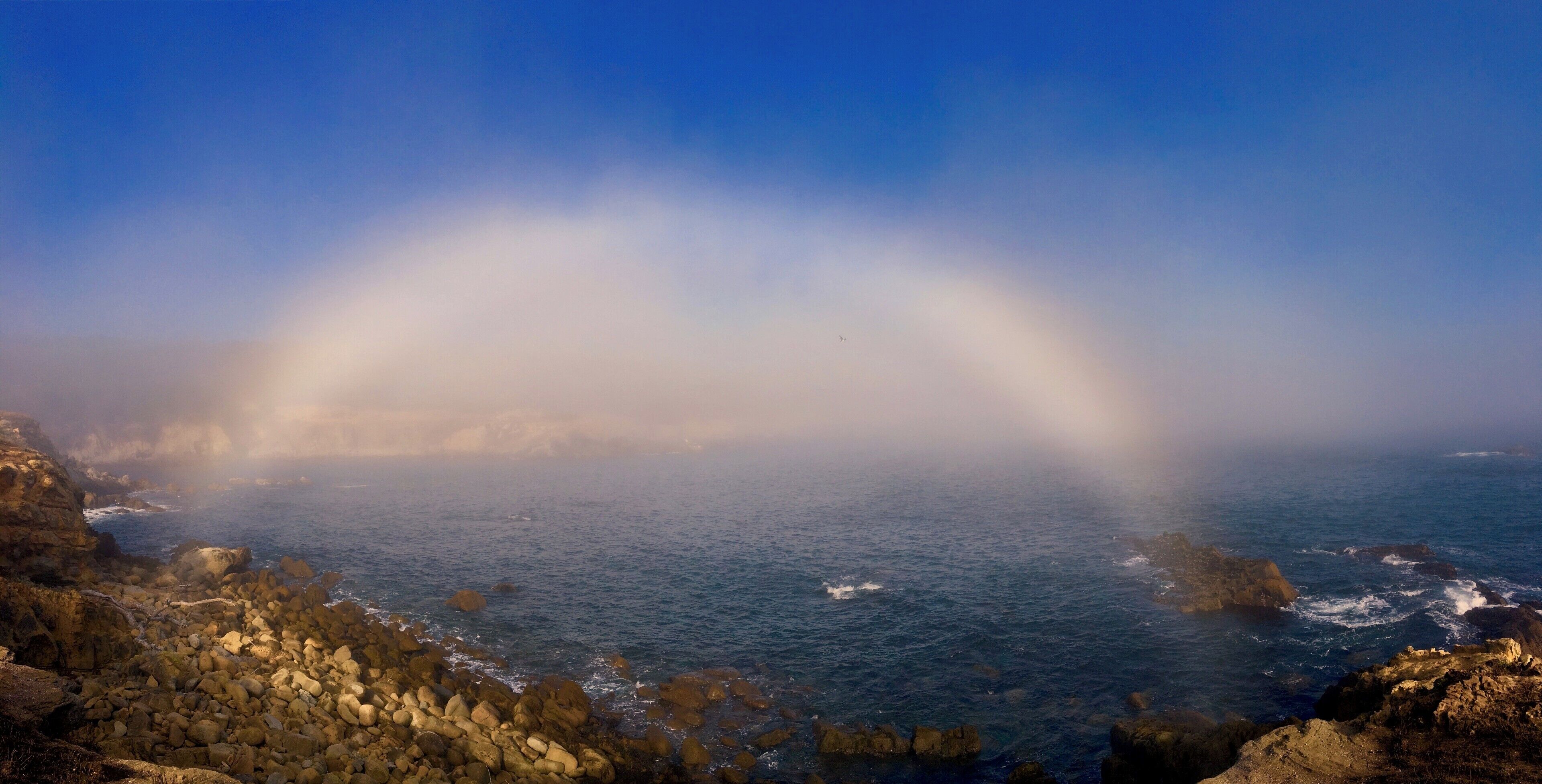 Rolling mists blowing through Gerstle Cove at Salt Point State Park can sometimes reward you with a rare fog bow. If you get the chance to visit Rhododendron State park nearby its worth a visit. 