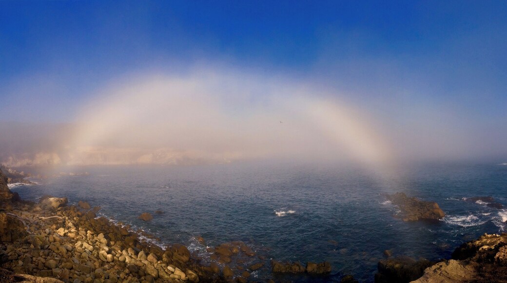 Rolling mists blowing through Gerstle Cove at Salt Point State Park can sometimes reward you with a rare fog bow. If you get the chance to visit Rhododendron State park nearby its worth a visit.
