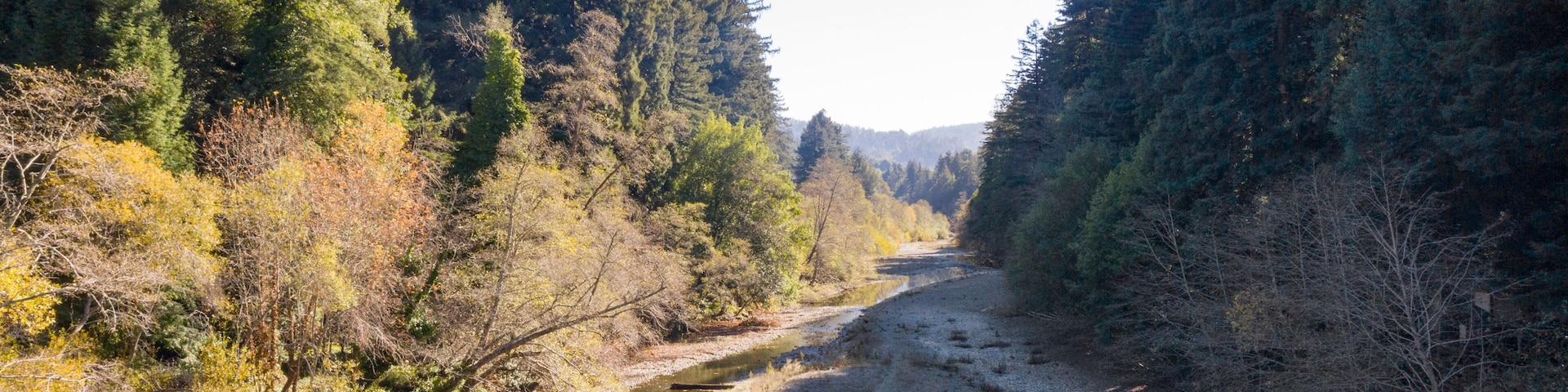 Austin Creek 2