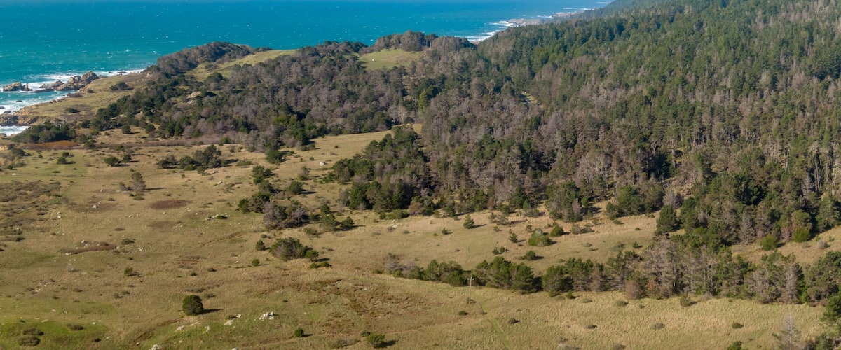 A coastal landscape with a forested hill and a view of the ocean.