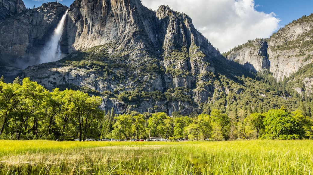Yosemite - El Capitan