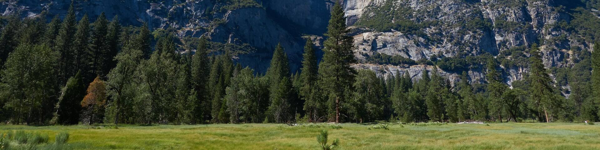 Yosemite National Park, El Portal, CA