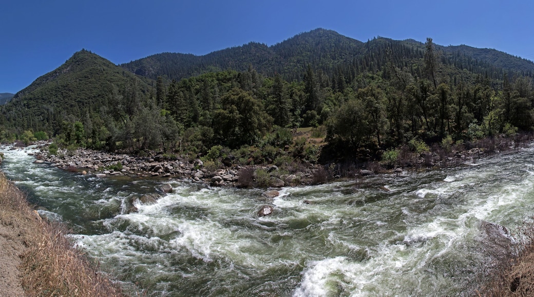 เอลปอร์ตัล