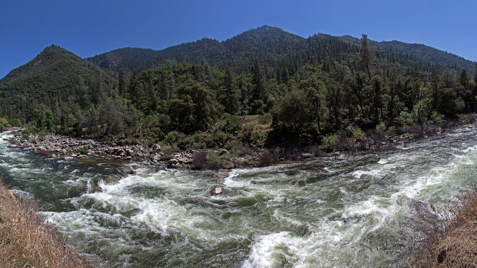 A fast-flowing river with rocky banks, surrounded by dense forest and mountains.