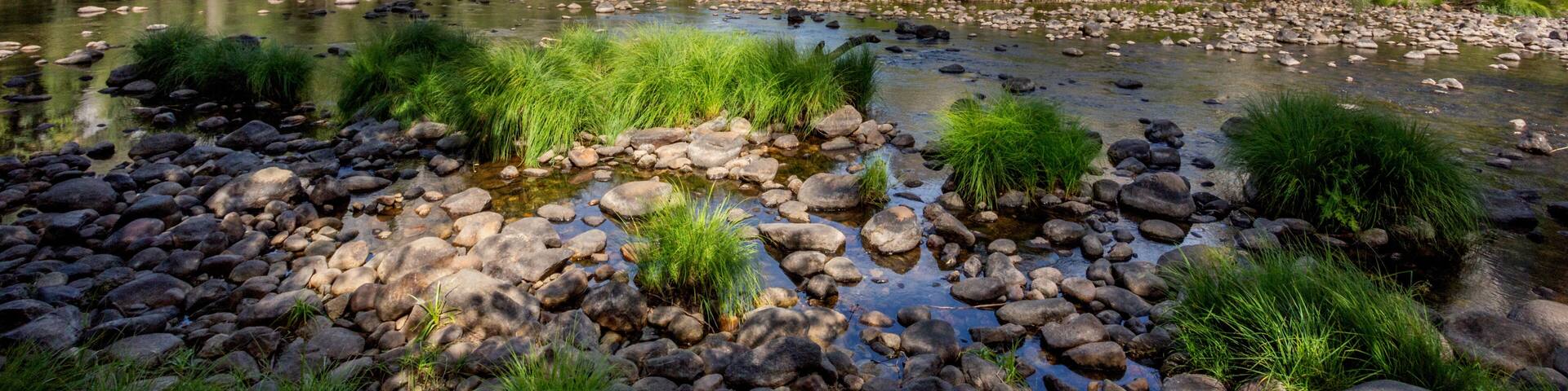 El portal view, Yosemite National Park, United States