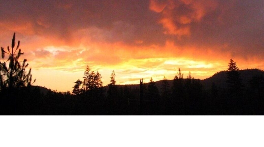 Can you see the scary face in the clouds looking down at the r/trees.