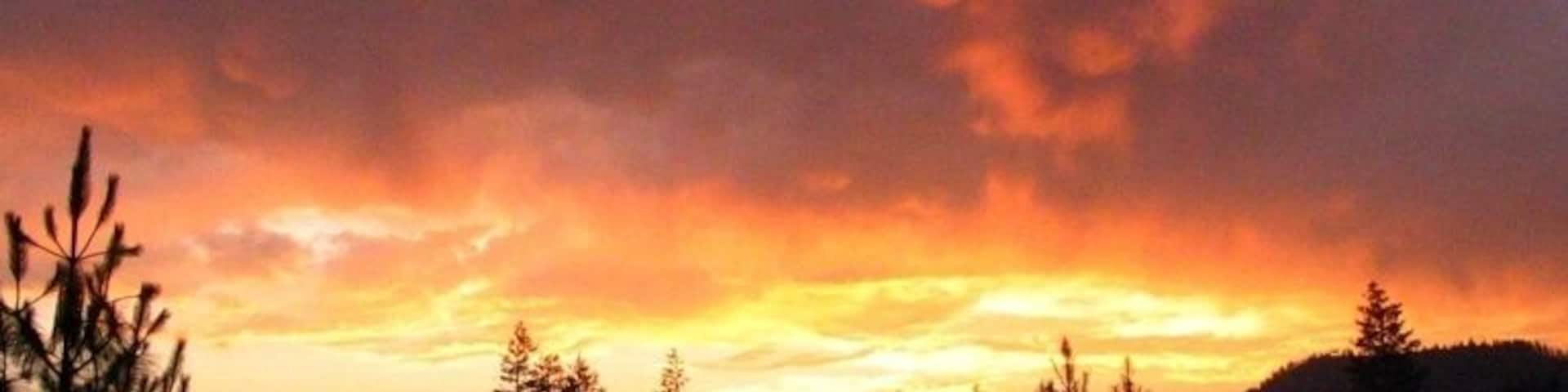 Can you see the scary face in the clouds looking down at the r/trees.