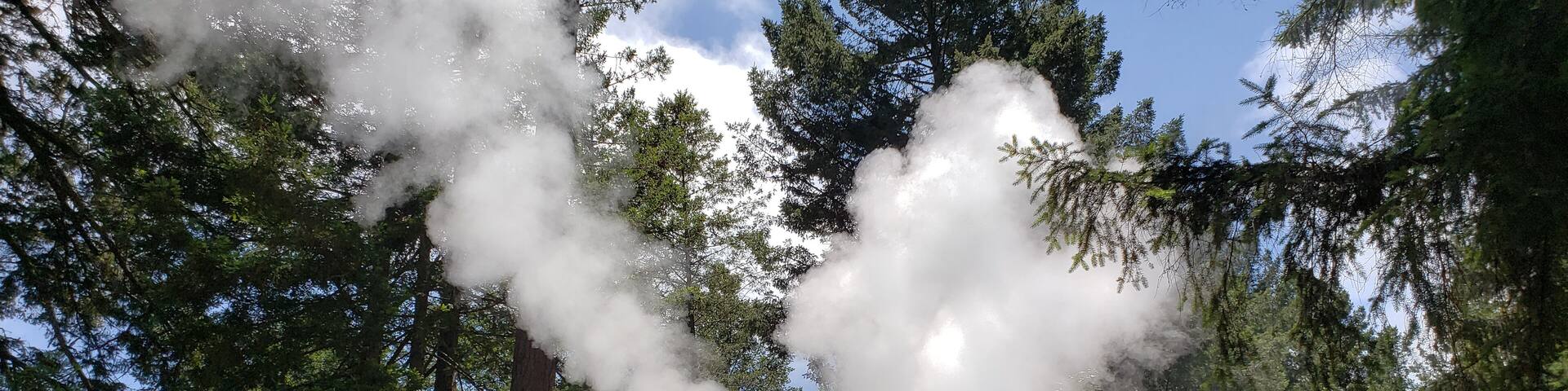 The train ride through the redwoods was so cool! #Adventure #NoFilter #IthinkIcanIthinkIcan