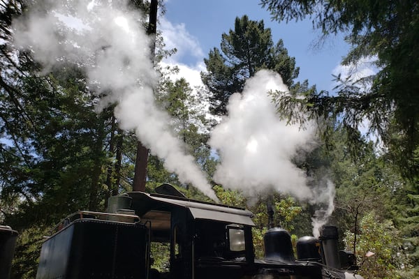 The train ride through the redwoods was so cool! #Adventure #NoFilter #IthinkIcanIthinkIcan