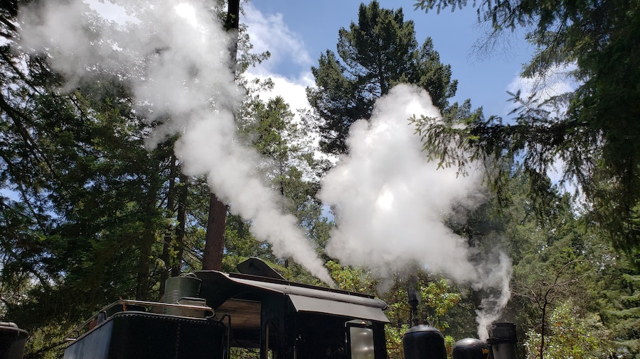 The train ride through the redwoods was so cool! #Adventure #NoFilter #IthinkIcanIthinkIcan