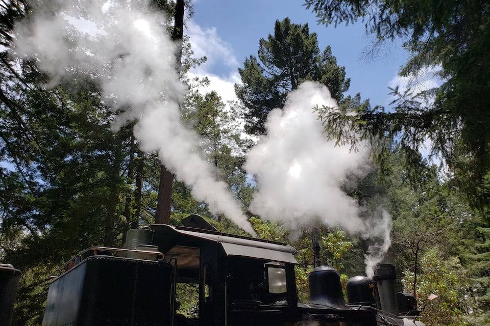 A steam locomotive emitting smoke in a forested area with tall trees and a clear sky.