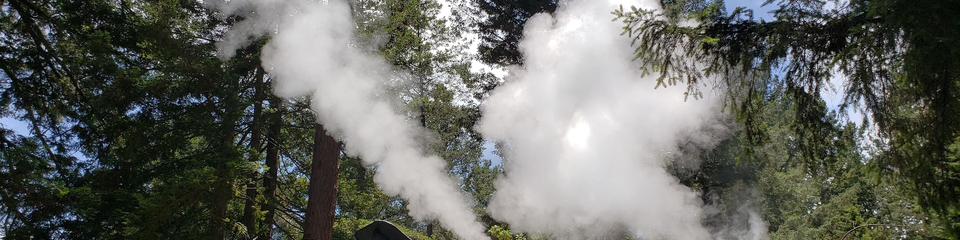 The train ride through the redwoods was so cool! #Adventure #NoFilter #IthinkIcanIthinkIcan
