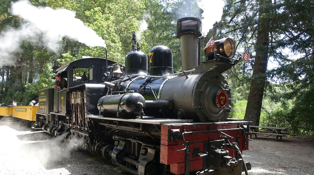 K39ED9 Roaring Camp Railroads - Real trains from the 1890s take you along scenic routes.