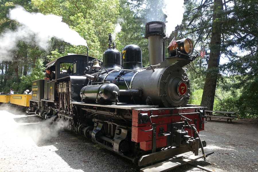 K39ED9 Roaring Camp Railroads - Real trains from the 1890s take you along scenic routes.