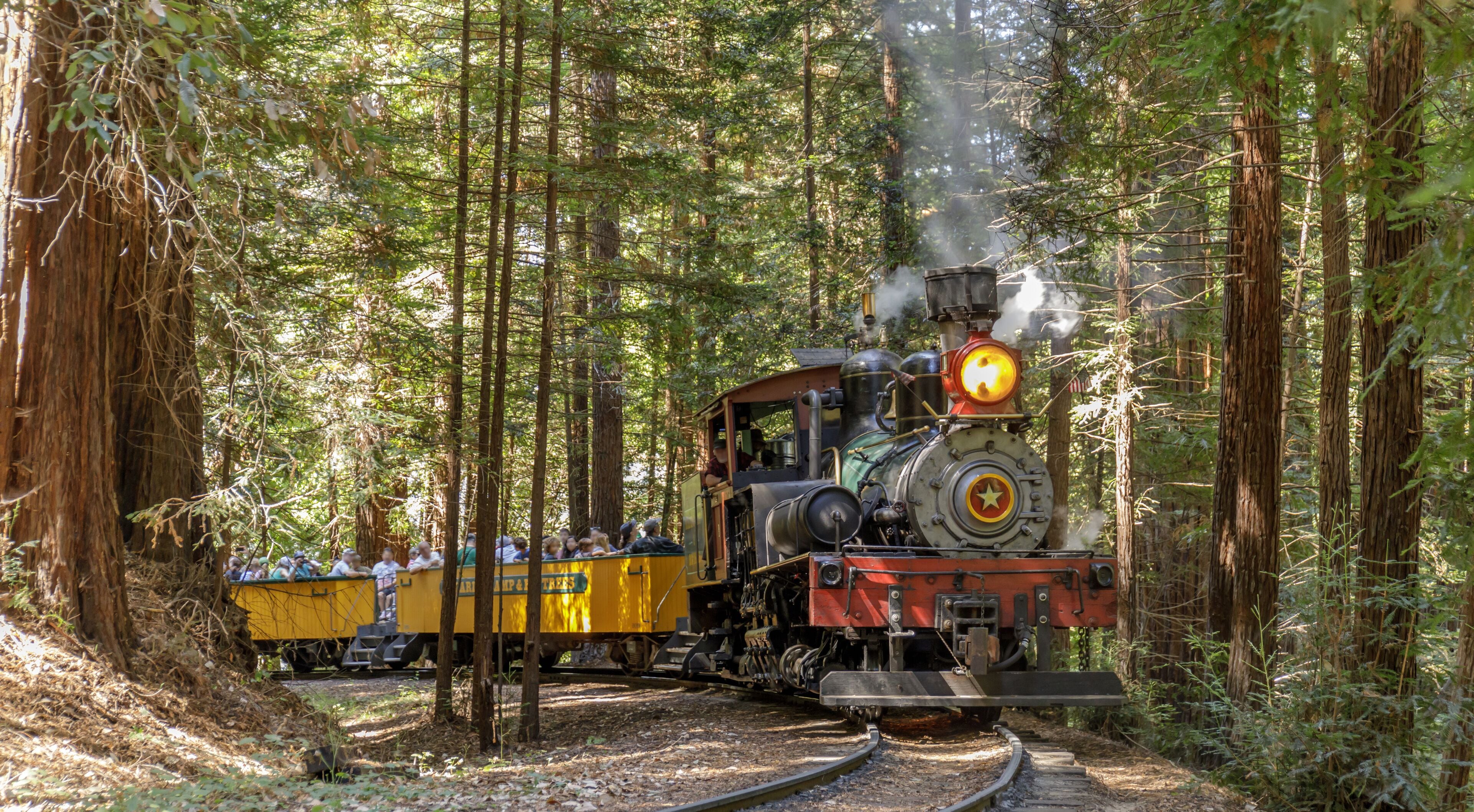 Roaring Camp' Dixiana Shay Steam Train Crossing Redwoods in Santa Cruz Mountains