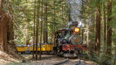 Roaring Camp' Dixiana Shay Steam Train Crossing Redwoods in Santa Cruz Mountains