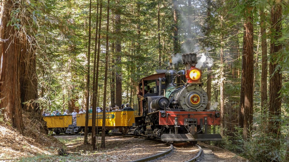 A steam locomotive with a yellow passenger car traveling through a dense forest.