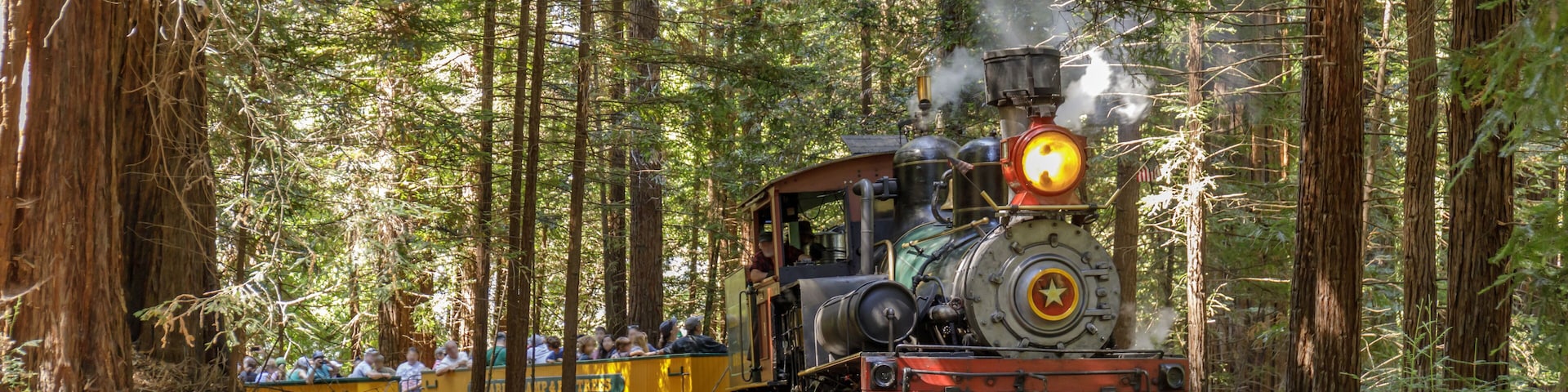 Roaring Camp' Dixiana Shay Steam Train Crossing Redwoods in Santa Cruz Mountains