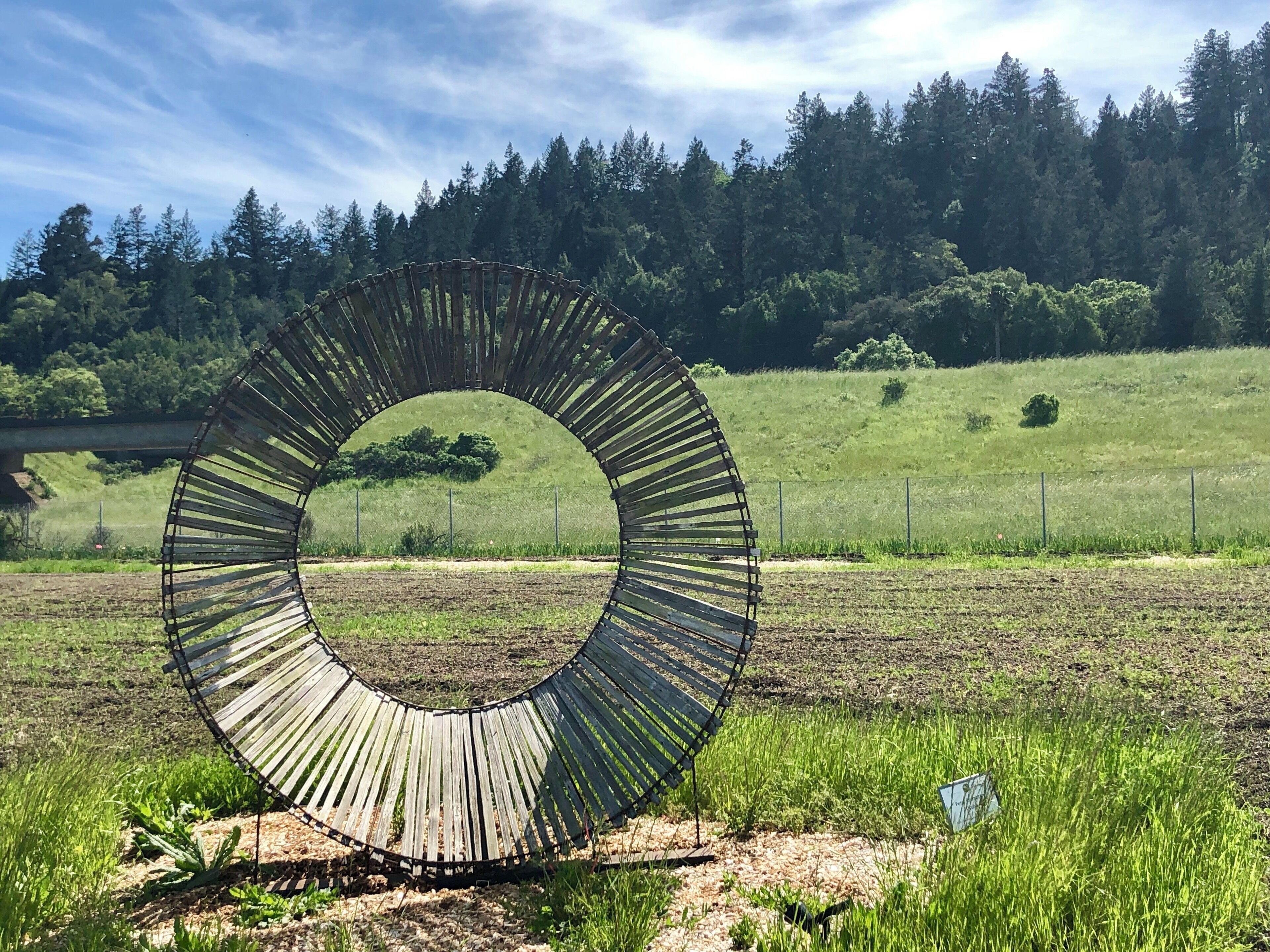 Geyserville is a small town in northern Sonoma County. The residents have created this sculpture trail - visible off highway 101 - as a way to stretch your legs and take a real while wine tasting.