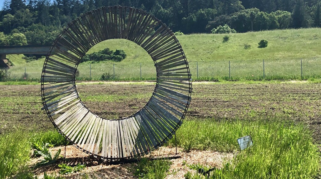 Geyserville is a small town in northern Sonoma County. The residents have created this sculpture trail - visible off highway 101 - as a way to stretch your legs and take a real while wine tasting.
