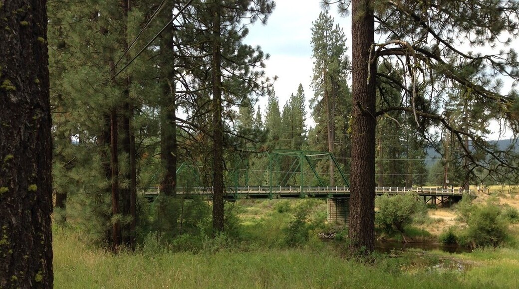 This is the view of the Bridge crossing the Feather River on the Blairsden-Graeagle Road from Bonta Street.