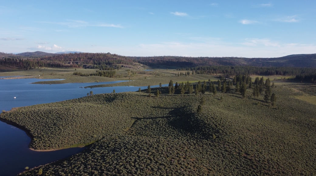Frenchman Lake reservoir in California west shore hills and trees drone high POV photo