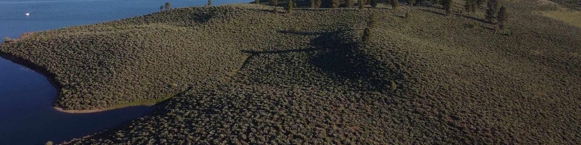 Frenchman Lake reservoir in California west shore hills and trees drone high POV photo