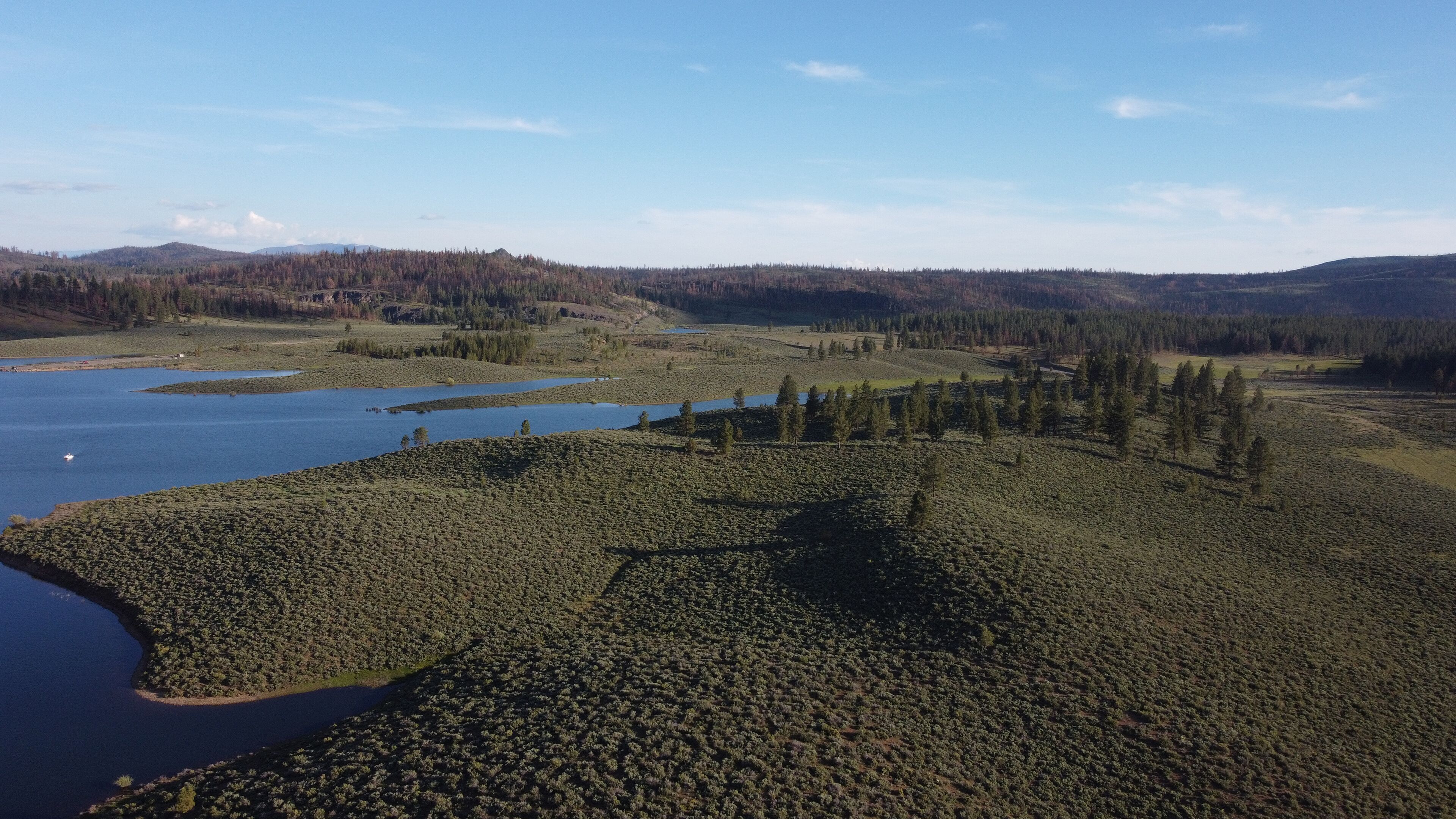 A vast landscape with a large body of water, dense forest, and distant mountains.