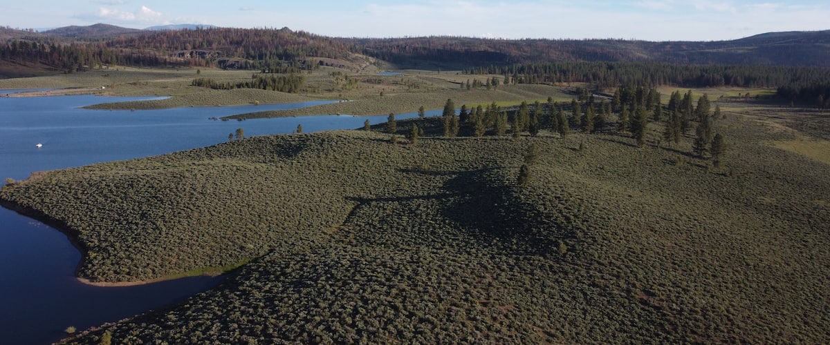 A vast landscape with a large body of water, dense forest, and distant mountains.