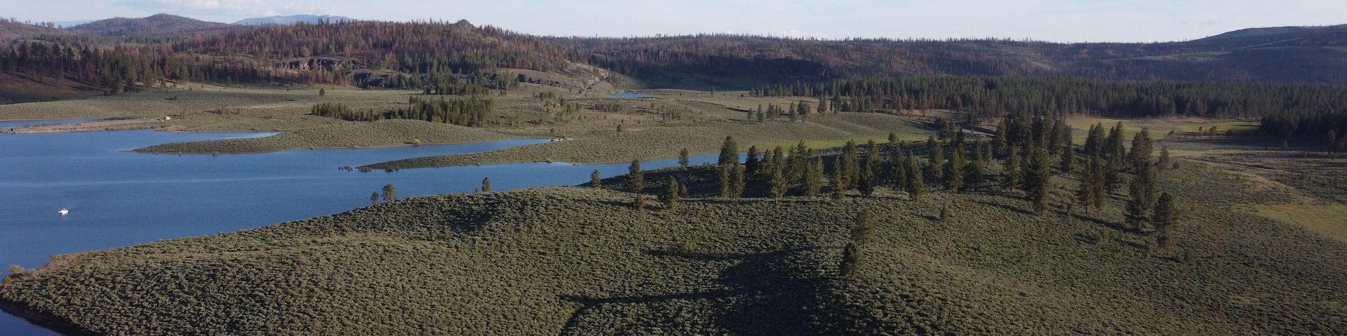A vast landscape with a large body of water, dense forest, and distant mountains.