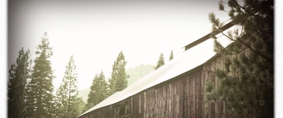 Stamp mill in the state park.