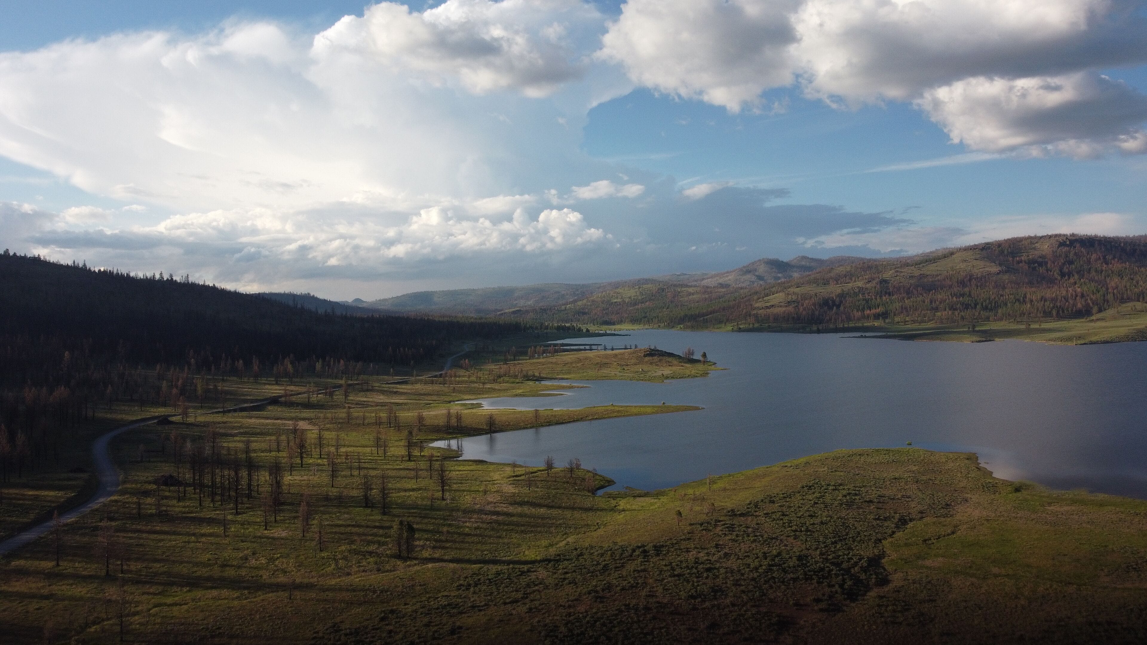 Soft evening light on the west shore of Frenchman Lake casting tree shadows on green grass