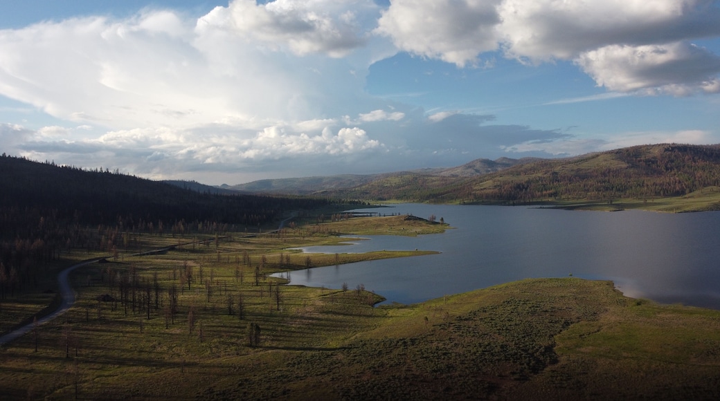 Soft evening light on the west shore of Frenchman Lake casting tree shadows on green grass
