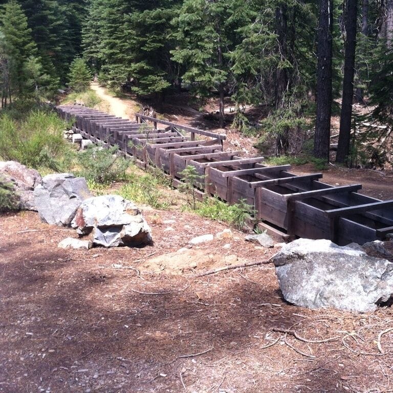 A forested area with a dirt path and wooden benches lined up along the trail.