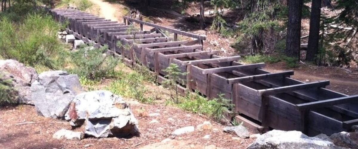 A forested area with a dirt path and wooden benches lined up along the trail.