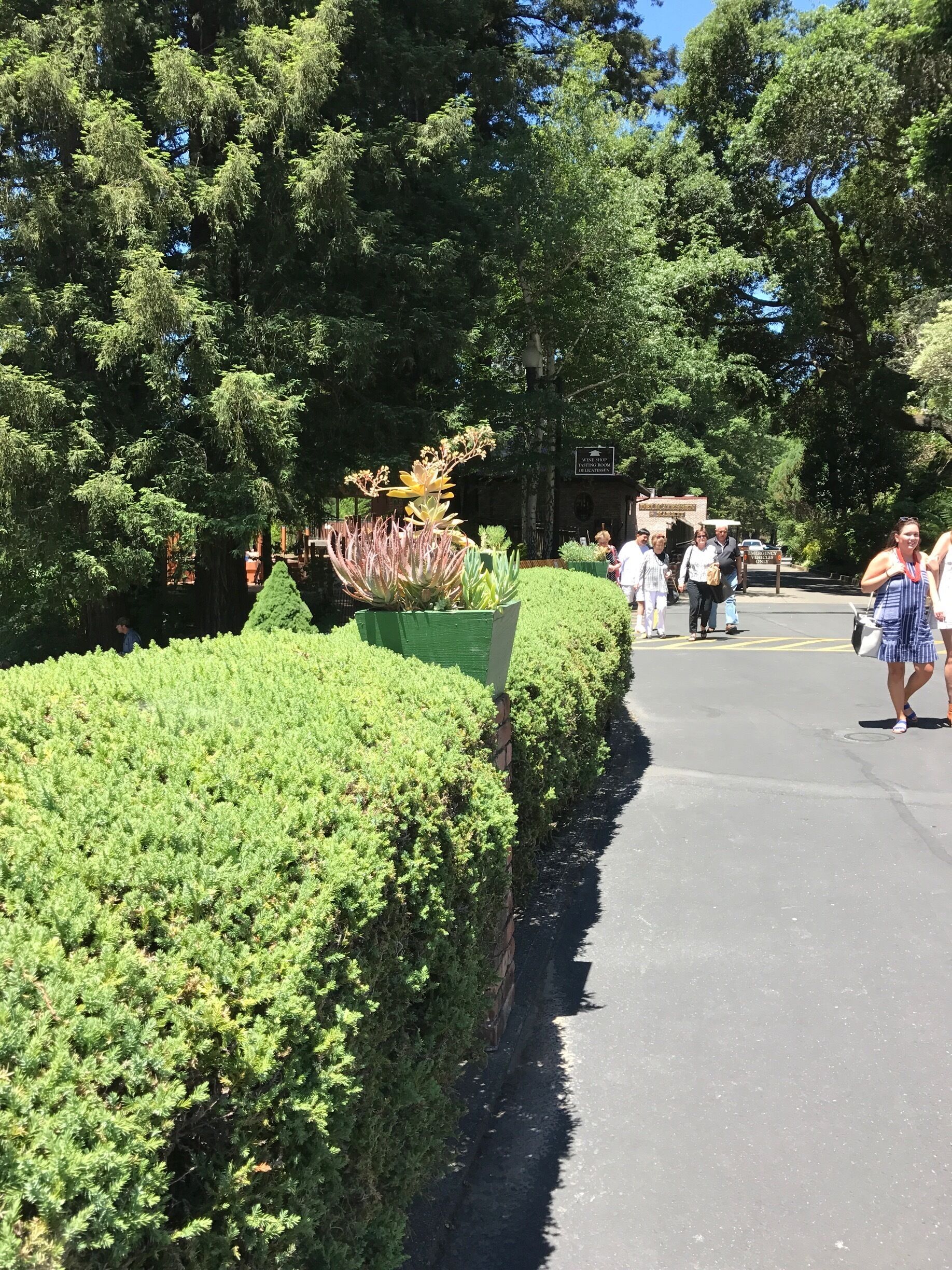 Across the street is this lovely champagne cellar Korbel